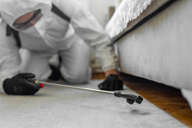 Professional Termite Control technician working in Tidmore Bend, AL